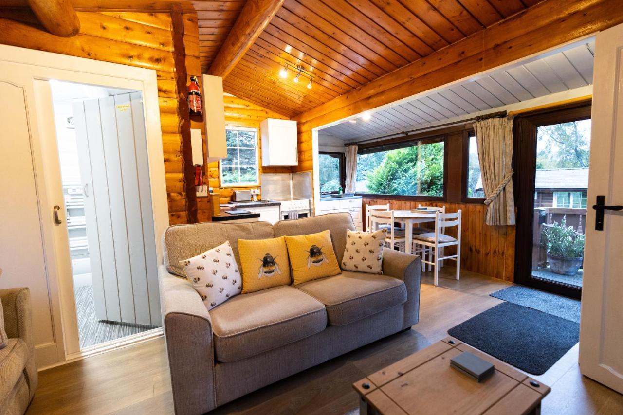 Mountain View Log Cabin In Snowdonia Nr Coed Y Brenin Tanygrisiau Zewnętrze zdjęcie